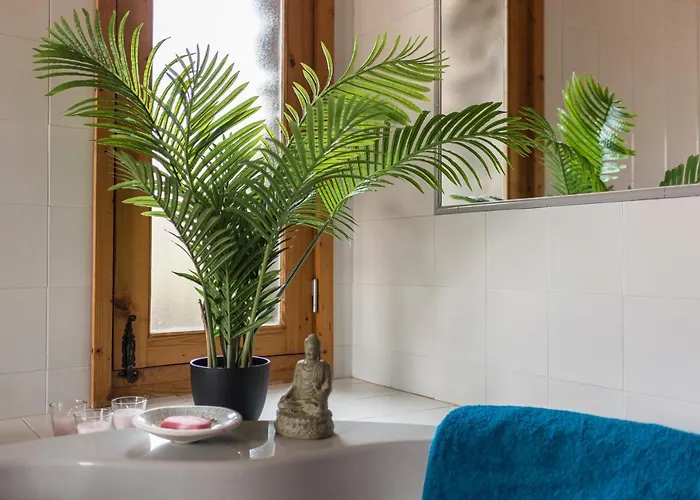 La Estrella By Don Robertos Paraiso Villaverde (Fuerteventura)