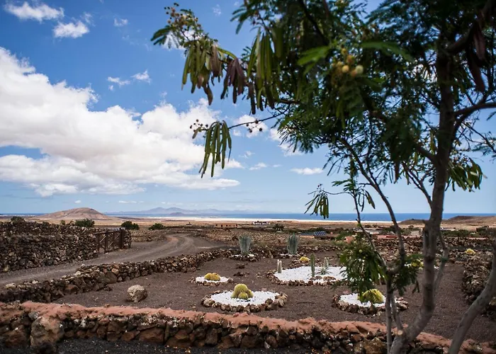 La Estrella By Don Robertos Paraiso Villaverde (Fuerteventura)