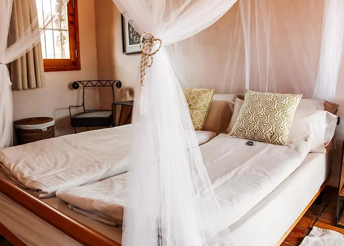 La Estrella By Don Robertos Paraiso