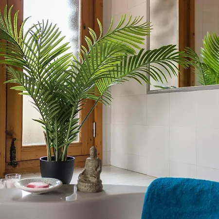 La Estrella By Don Robertos Paraiso Villaverde (Fuerteventura)