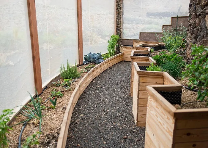 La Estrella By Don Robertos Paraiso Holiday home Villaverde (Fuerteventura)